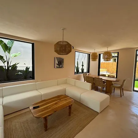 Drymades Olea U16 * Gjilek