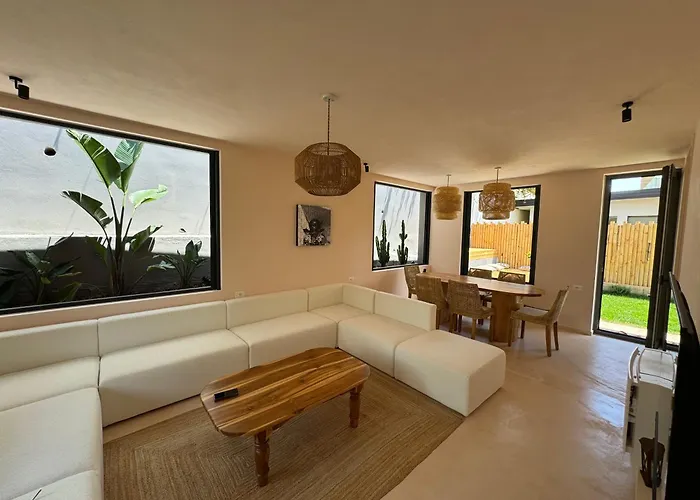 Drymades Olea U16 * Gjilek