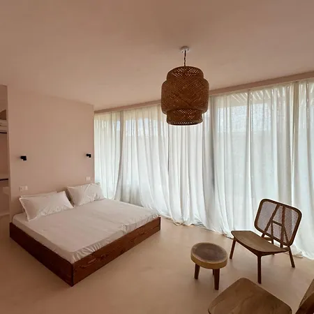 Drymades Olea U16 فيلة Gjilek