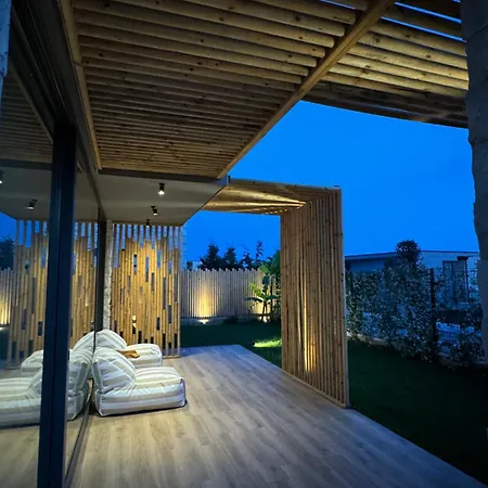 Drymades Olea U16 فيلة